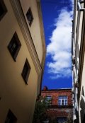 Обложка книги "Случай в Кисельном тупике"