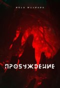 Обложка книги "Пробуждение"