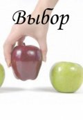 Обложка книги "Выбор"