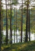 Обложка книги "Воспоминание в подарок"