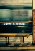 Обложка книги "Место в жизни (рассказ)"