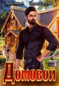 Обложка книги "Домовой "