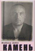 Обложка книги "Камень. Биографический роман."