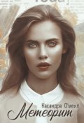 Обложка книги "Метеорит"