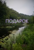 Обложка книги "Подарок"