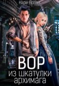 Обложка книги "Вор из шкатулки архимага"