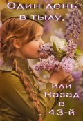 Обложка книги "Один день в тылу, или Назад в 43-й"