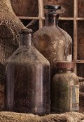 Обложка книги "Лекарство для зомби"
