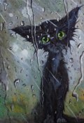 Обложка книги "Кошка - любовь"