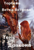 Обложка книги "Тень дракона"