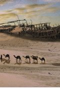 Обложка книги "Золотые львы в каменной пустыне"