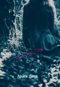 Обложка книги "Ночь. Лес. Секс."