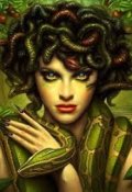 Обложка книги "Медуса и другие"