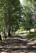 Обложка книги "Разное счастье"