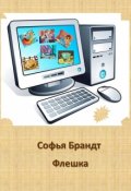 Обложка книги "Флешка"