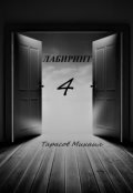 Обложка книги "Лабиринт 4"
