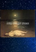 Обложка книги "Откуда приходит цунами"