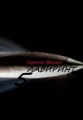 Обложка книги "Лабиринт 5"