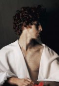 Обложка книги "Художник должен быть голодным"