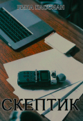 Обложка книги "Скептик"
