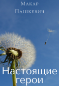 Обложка книги "Настоящие герои"