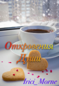 Обложка книги "Откровения души"