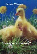 Обложка книги "Какая она, любовь?"