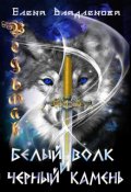 Обложка книги "Ведьмак. Белый волк и чёрный камень"