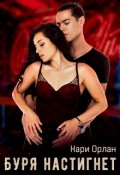 Обложка книги "Буря настигнет"