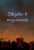 Обложка книги "Звёзды в тумане"