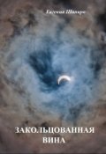 Обложка книги "Закольцованная вина"