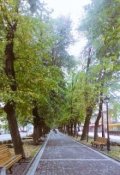 Обложка книги "Аллея чудес"