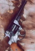 Обложка книги "Дом Капитана"