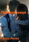 Обложка книги "Поймай меня "