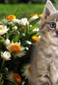 Обложка книги "Самый главный человек."