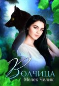 Обложка книги "Волчица"