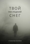 Обложка книги "Твой последний снег"