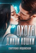 Обложка книги "Охота дикой кошки"