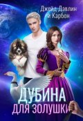 Обложка книги "Дубина для Золушки"