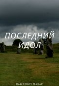 Обложка книги "Последний идол"