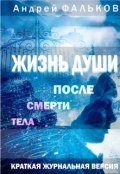 Обложка книги "Жизнь души после смерти тела. Журнальная версия"