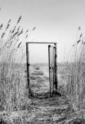 Обложка книги "Безысходность"