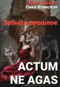 Обложка книги "Actum ne agas. Забыть прошлое"