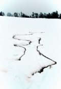 Обложка книги "Сон"