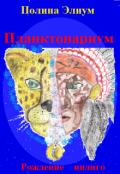 Обложка книги "Рождение индиго"