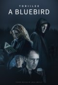 Обложка книги "a Bluebird"
