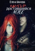 Обложка книги "Вампир, доставшийся мне"