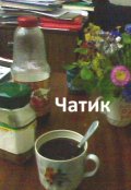 Обложка книги "Чатик"