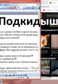 Обложка книги "Подкидыш"