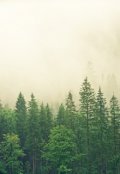 Обложка книги "Выбор"